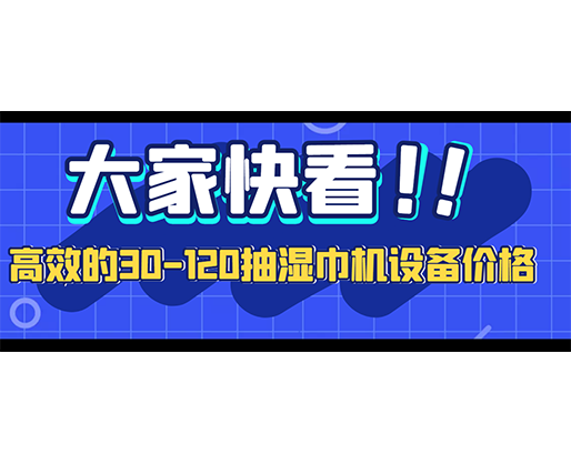 高效的30-120抽濕巾機(jī)設(shè)備價(jià)格 高效的30-120抽濕巾機(jī)設(shè)備價(jià)格
