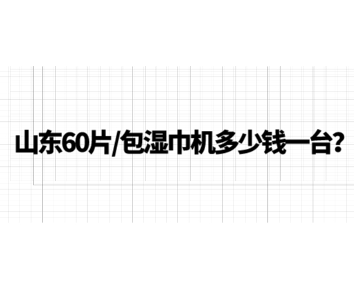 山東60片/包濕巾機多少錢一臺？